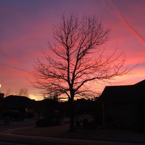 Meet your Posher, Jackson